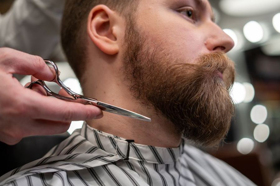 Cut + beard + eyebrow
